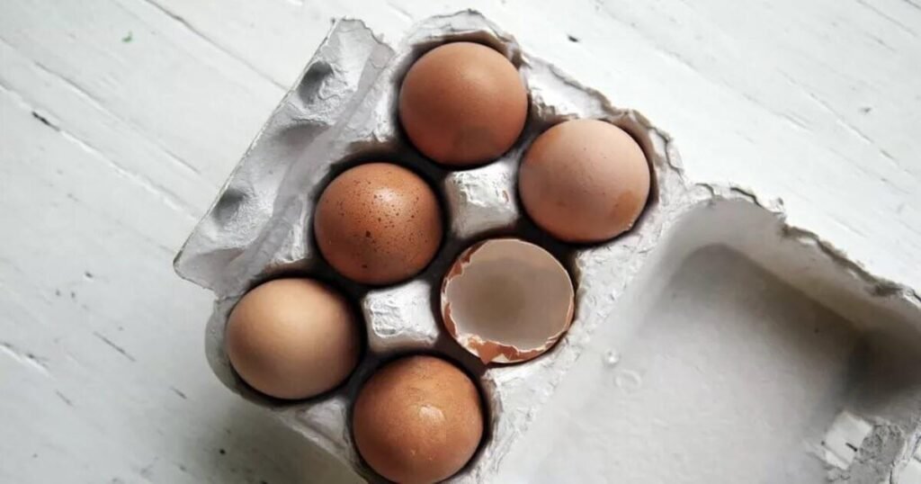 Для чого в раціоні потрібні курячі яйця