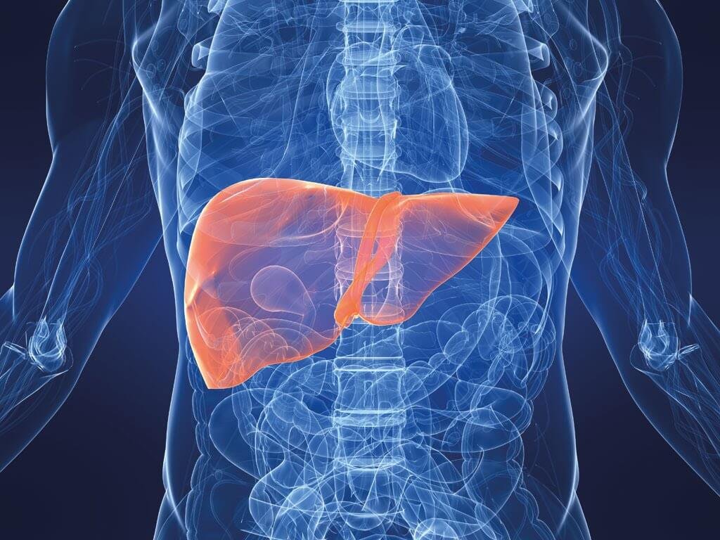Експерти назвали ранні ознаки жирової хвороби печінки