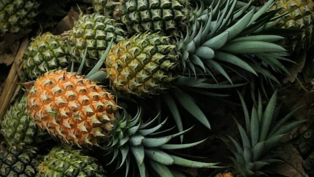 Лікар-дієтолог попереджає, що деякі фрукти можуть уповільнити процес схуднення та рекомендує уникати їх вживання