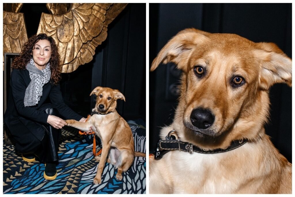 У Києві на благодійному бранчі зібрали кошти на допомогу притулку собак Анастасії Тихої