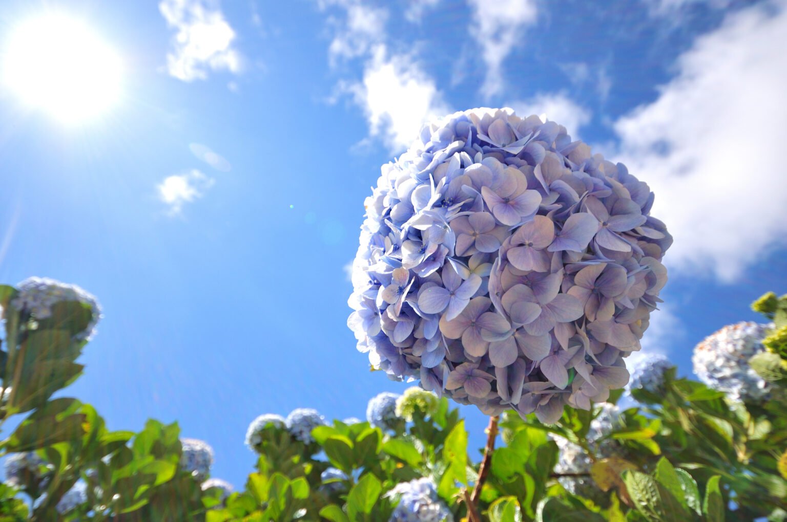 Детская афиша на выходные 3-4 августа: куда сходить с ребенком в Киеве