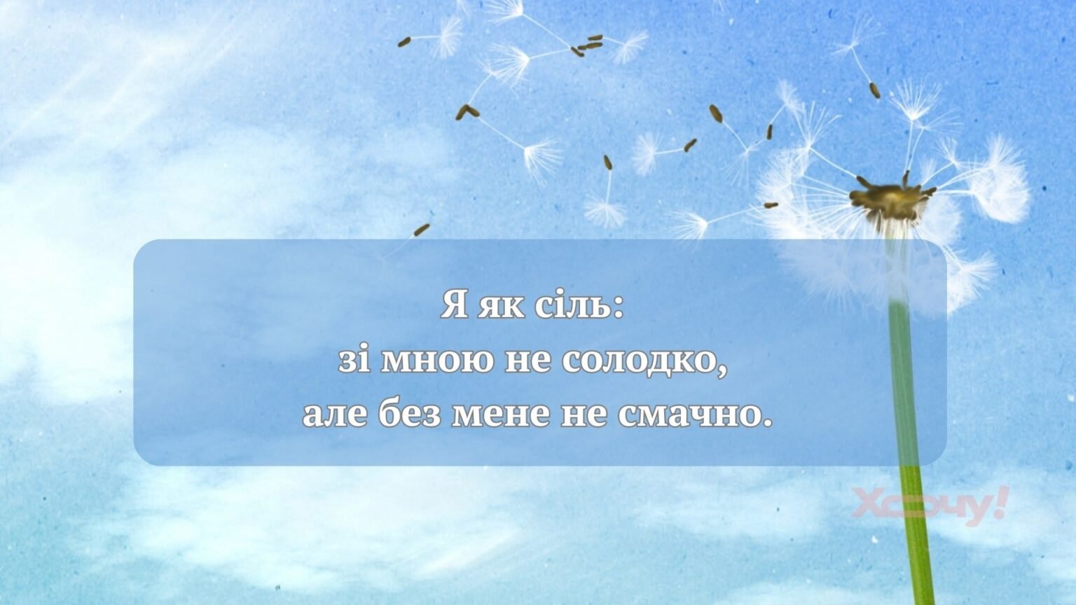 «Красота спасет мир, а пофигизм – нервы»: остроумные и забавные цитаты о жизни