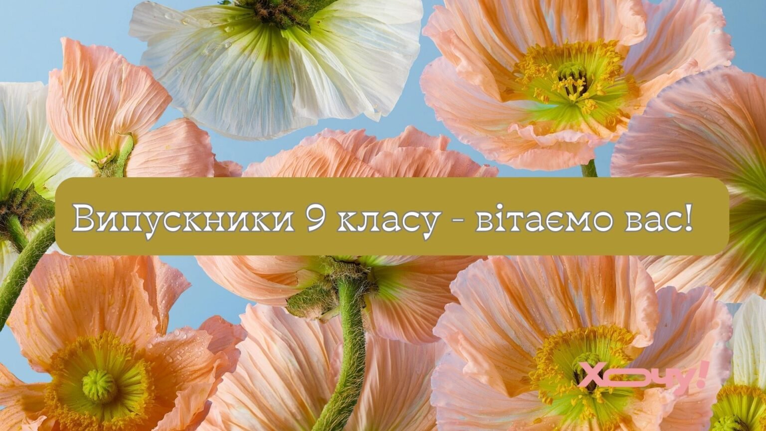 Хорошие поздравления выпускникам, уходящим из школы после 9 класса