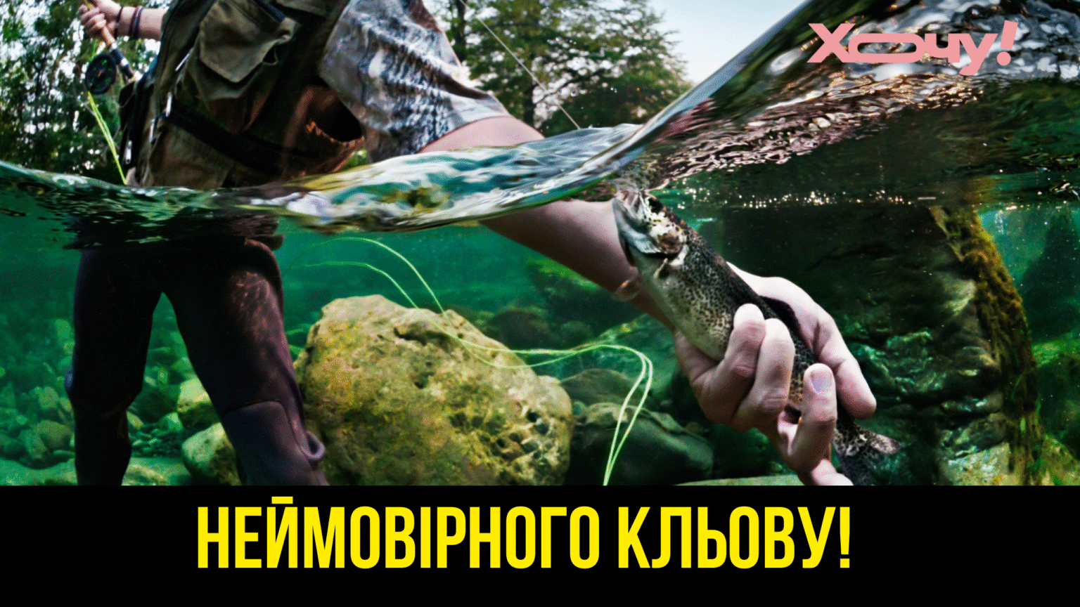 День рыбака в Украине: классные поздравления для рыбаков и открытки — на украинском языке