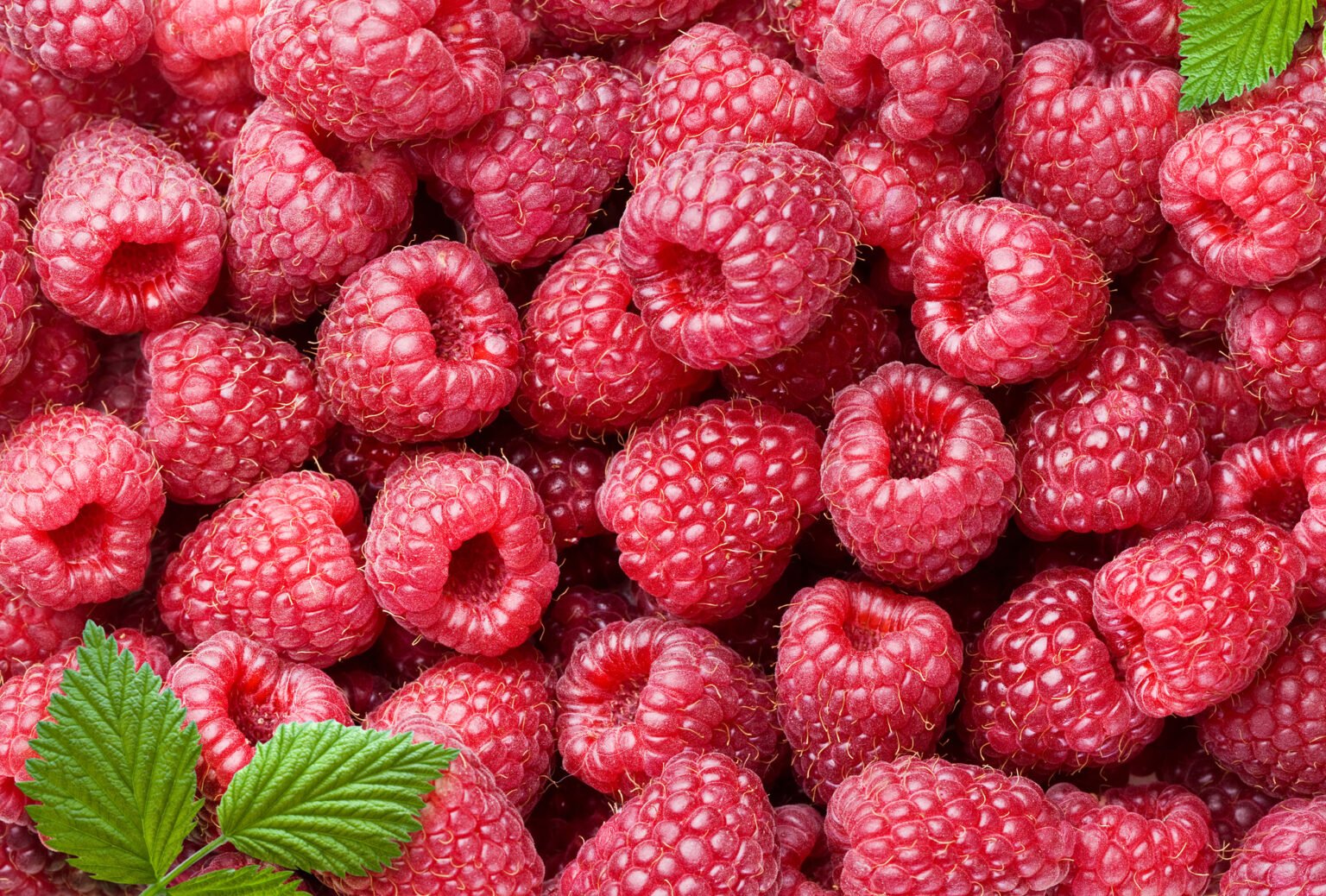 Июльское наслаждение: чем полезна малина для детей и сколько безопасно давать