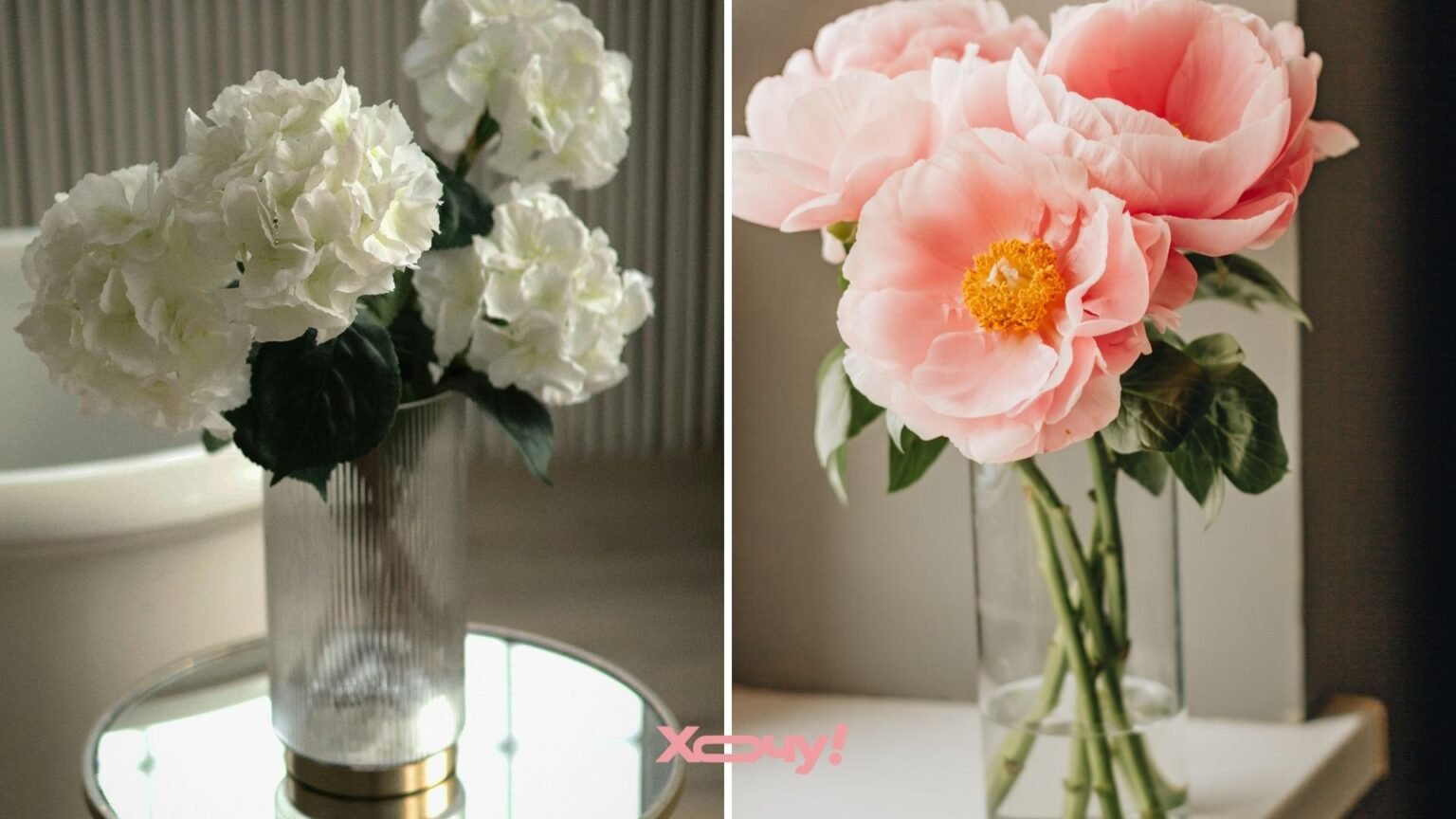 Будут стоять неделями: 3 секретные уловки, которые продлят жизнь срезанным цветам