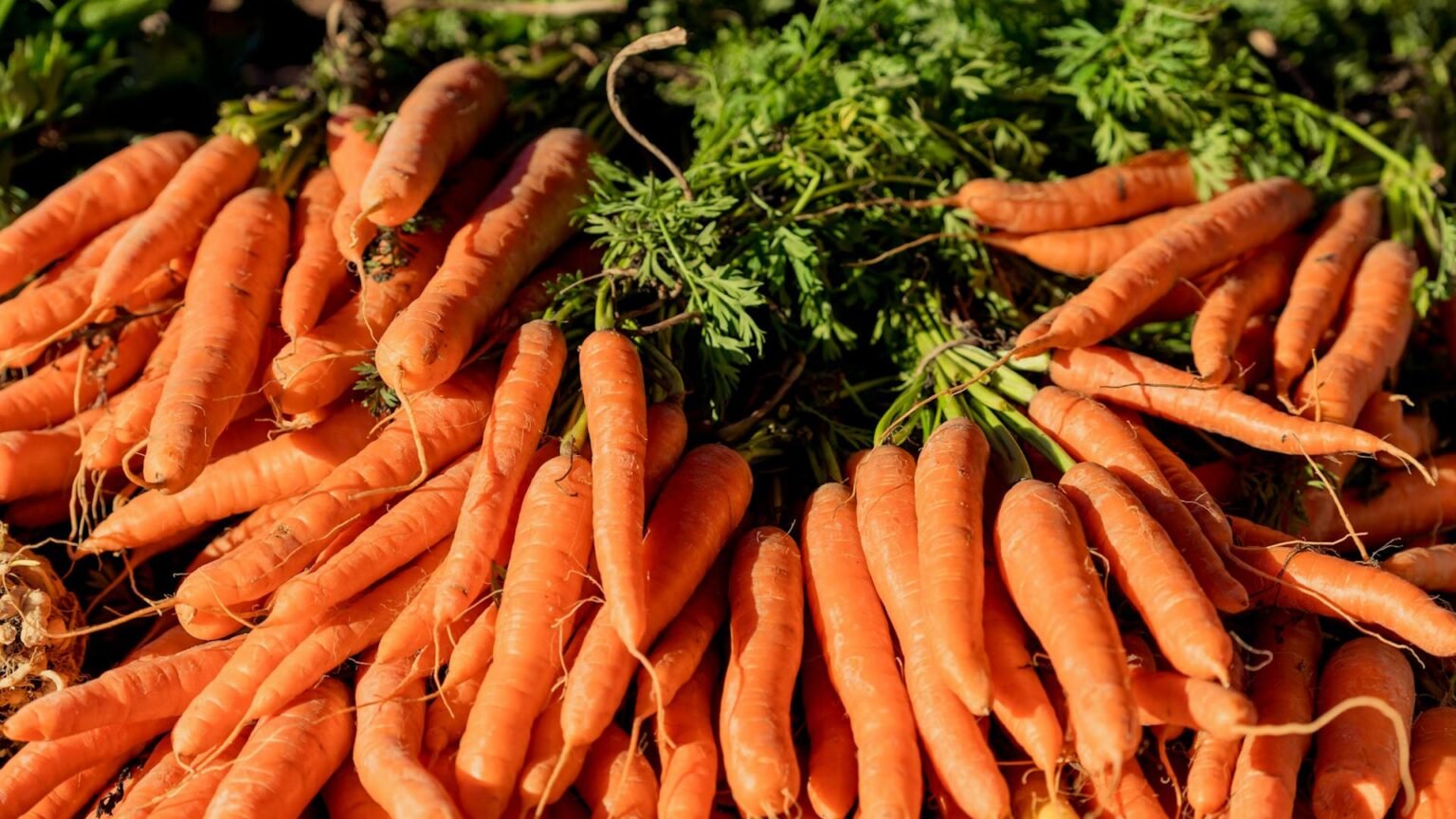 Морковь покажет вам, когда ее копать: один признак, который никогда не лжет