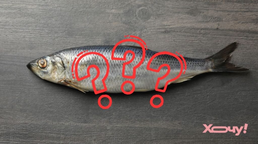 Лайфхак года: как выбрать сельдь с икрой — на самом деле важен только один признак (ВИДЕО)