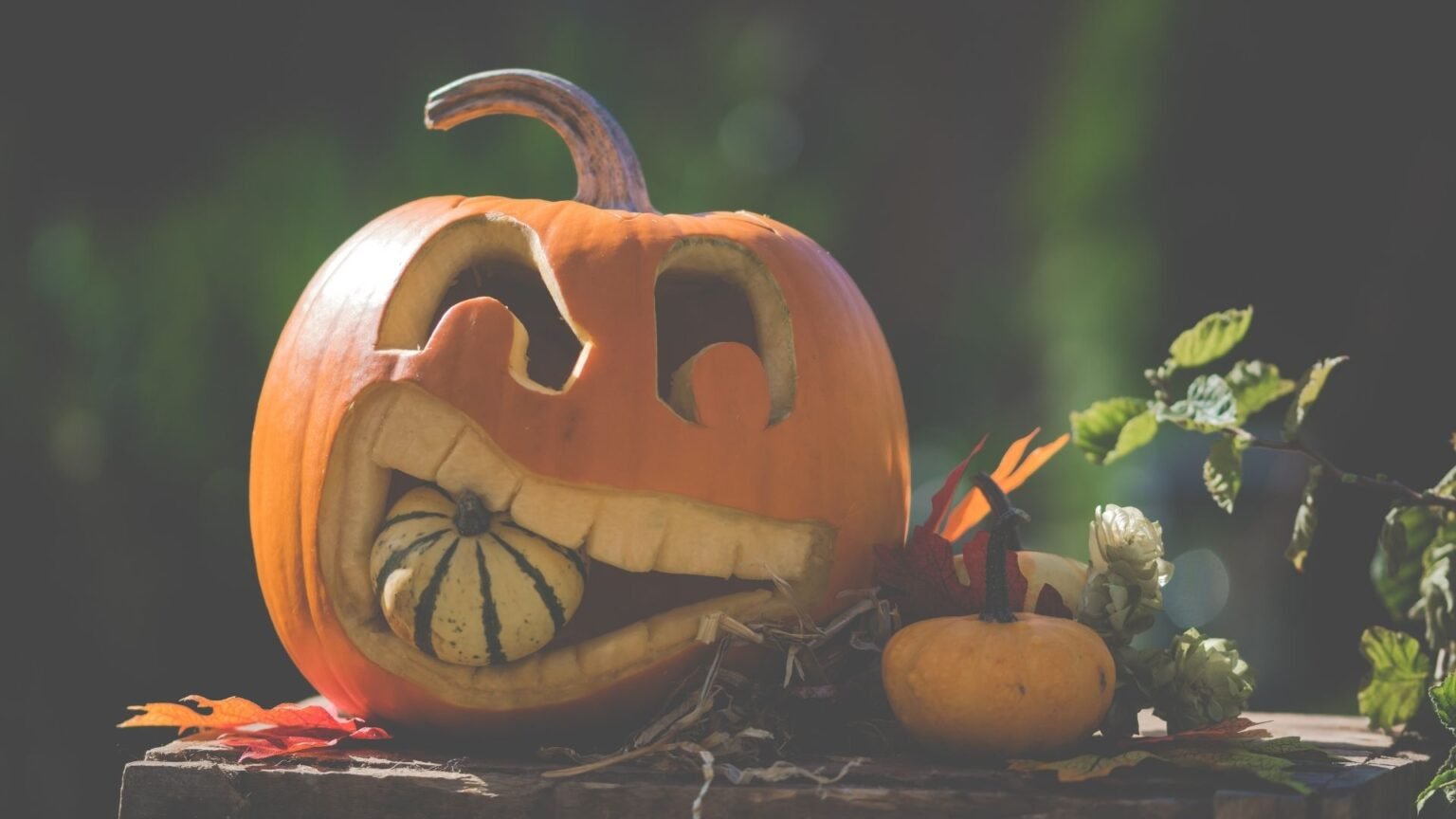 Большинство этого не знает: 15 «магических» фактов, которые доказывают, что осень — самое волшебное время года