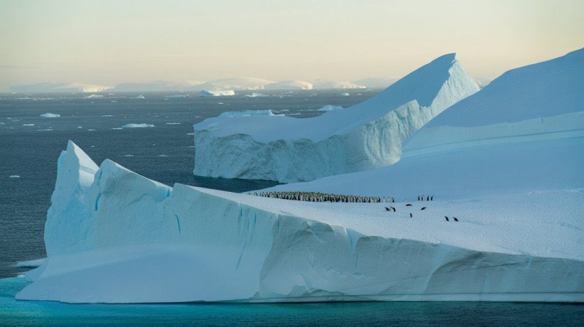Полярники з Антарктики запрошують школярів на відкритий урок зі станції «Академік Вернадський»