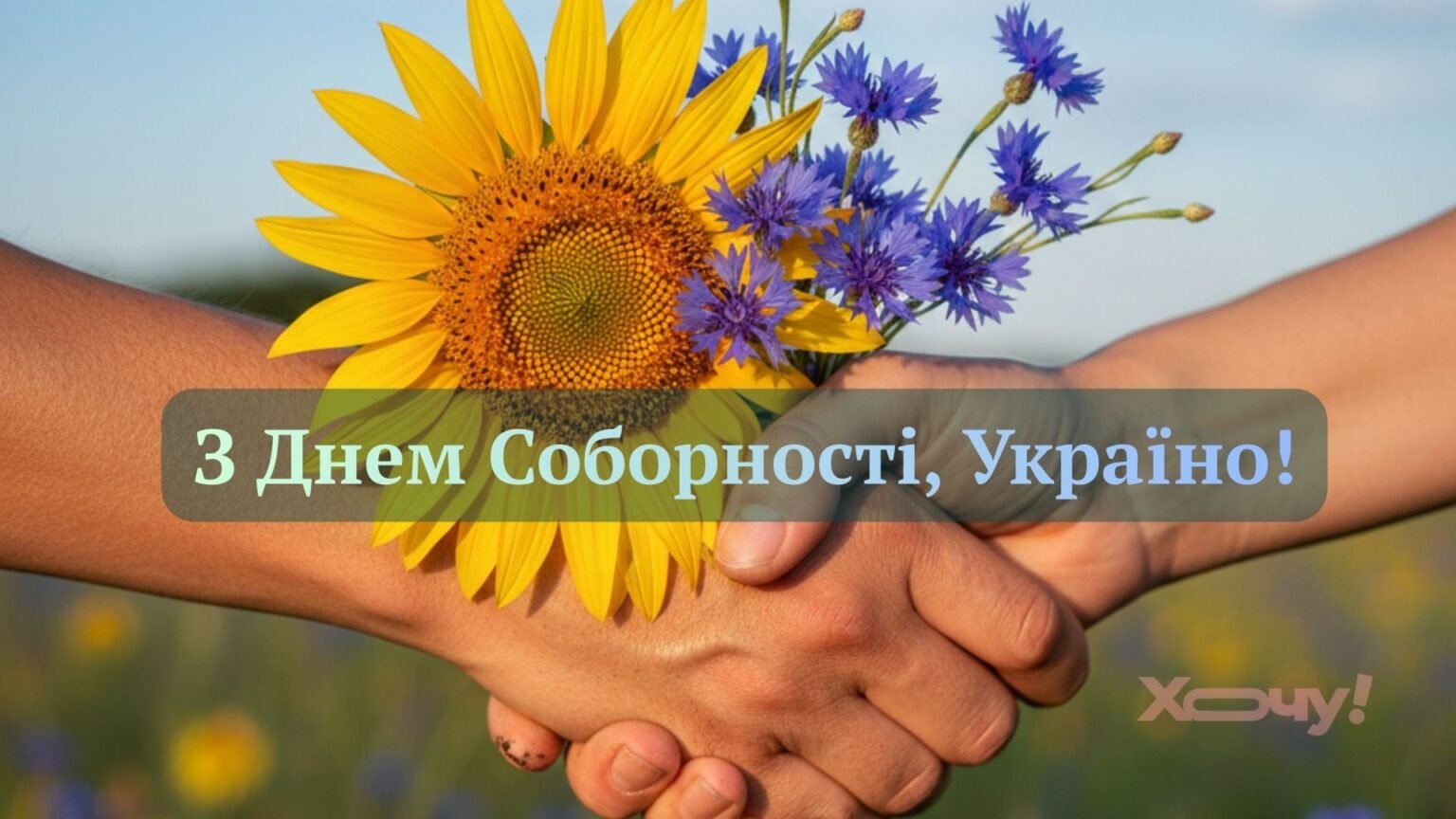 С Днем Соборности, Украина! Символические приветствия в прозе, стихах и особых картинках для сильных духом людей