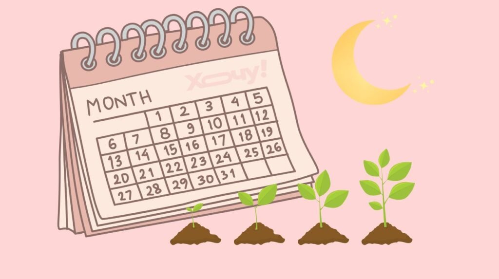 Не пропустите лучшие даты: что и когда сажать в феврале, чтобы рассада хорошо росла