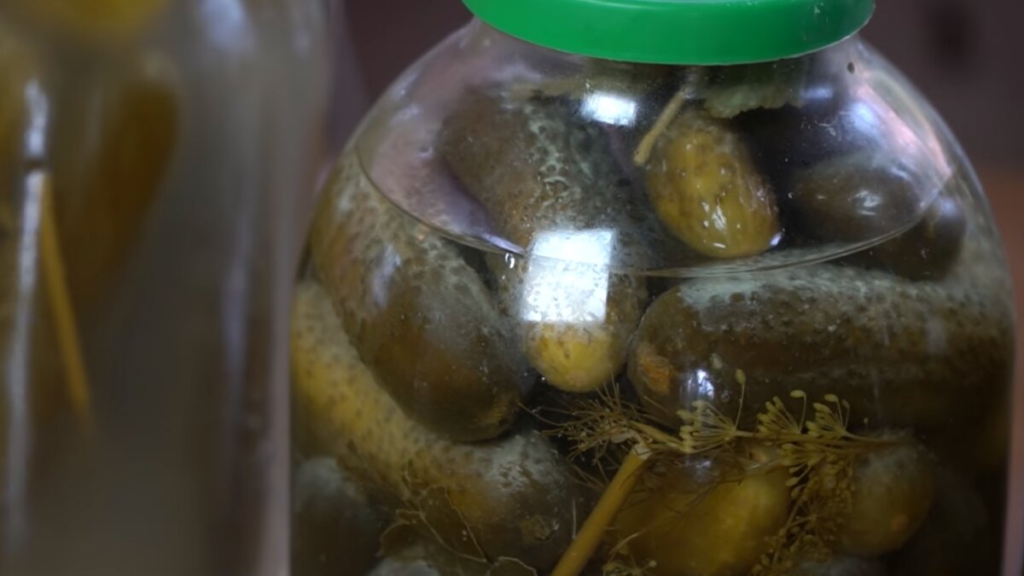 Есть или выбросить: что означает белая пленка на квашеных огурцах