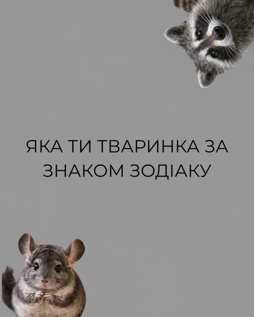 Кот, змея или милый кролик: на какое животное вы похожи по гороскопу?